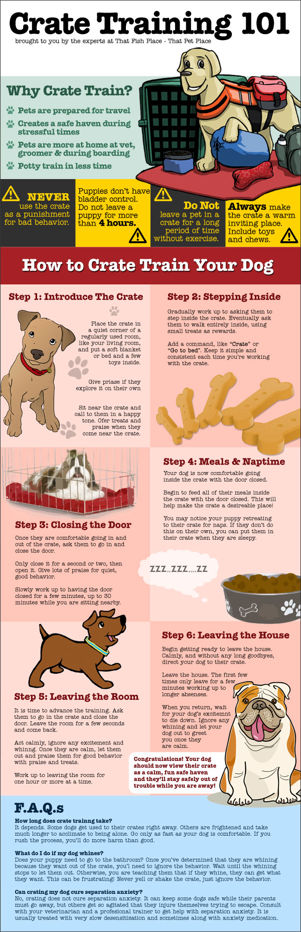 Crate Training 101 Infographic
